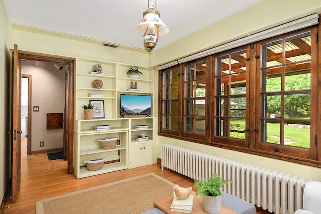 5352 15th Ave S, Minneapolis, MN 55417 - sitting room featuring radiator, light wood-type flooring, and built in features