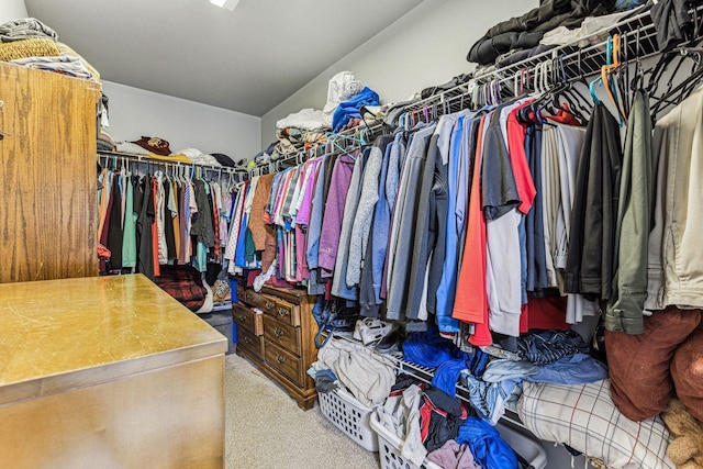 spacious closet featuring carpet floors