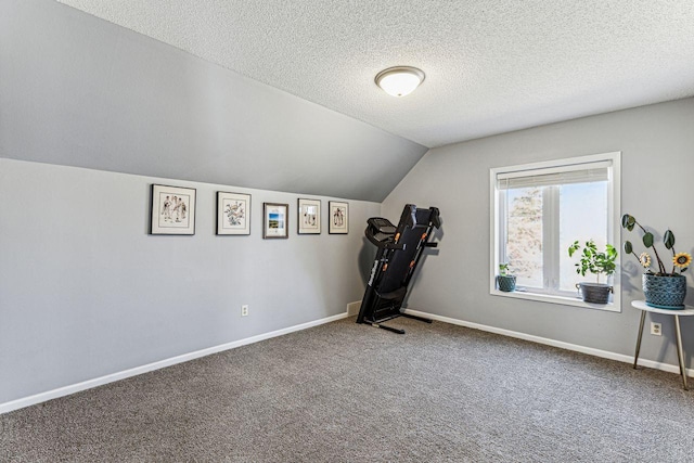 additional living space featuring baseboards, lofted ceiling, a textured ceiling, and carpet flooring