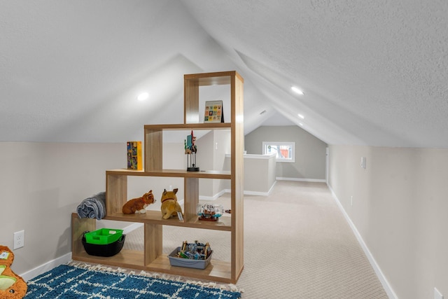 1332 Jersey Ave S, Saint Louis Park, MN 55426 - bonus room featuring lofted ceiling, a textured ceiling, baseboards, and carpet