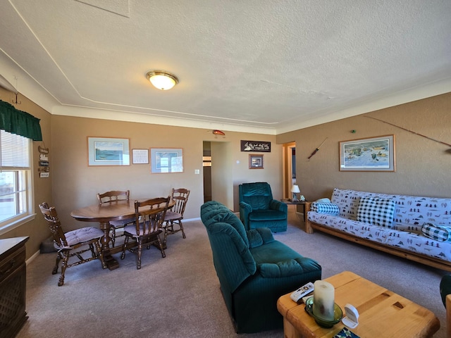 16099 Twilight Rd, Kathio Twp, MN 56359 - living room featuring carpet flooring and a textured ceiling