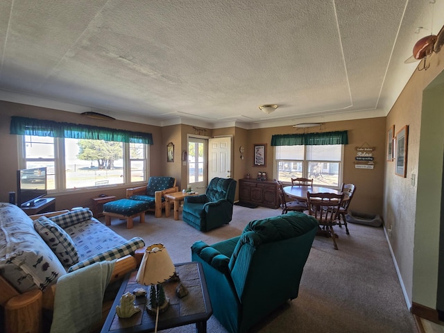 16099 Twilight Rd, Kathio Twp, MN 56359 - living area featuring carpet, a textured ceiling, baseboards, and ornamental molding