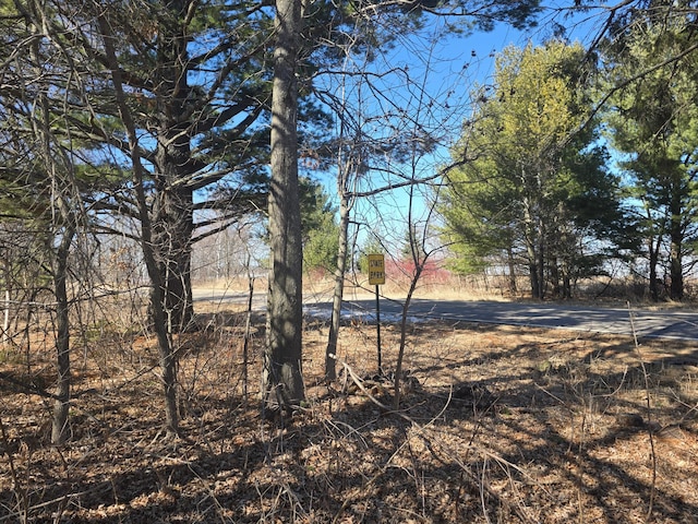 16099 Twilight Rd, Kathio Twp, MN 56359 - view of yard