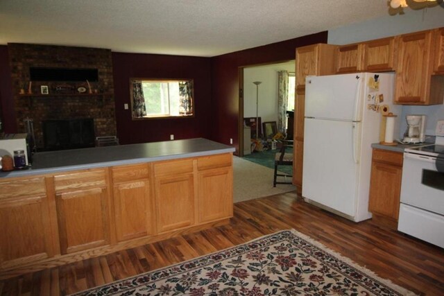 42491 432nd Ln, Aitkin, MN 56431 - kitchen featuring light countertops, white appliances, dark wood finished floors, a textured ceiling, and a fireplace
