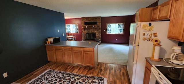 42491 432nd Ln, Aitkin, MN 56431 - kitchen featuring plenty of natural light, open floor plan, a fireplace, and dark wood-type flooring