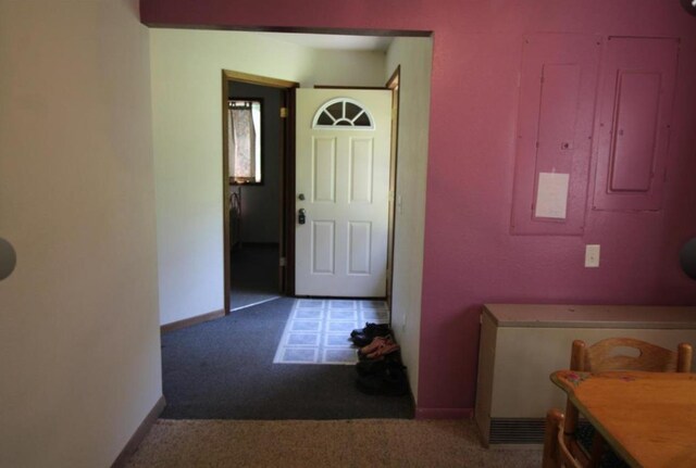 42491 432nd Ln, Aitkin, MN 56431 - washroom featuring electric panel, baseboards, and carpet