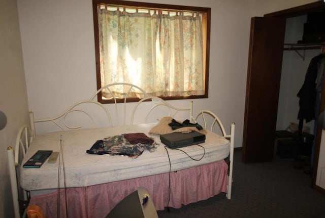 42491 432nd Ln, Aitkin, MN 56431 - bedroom featuring a closet