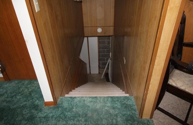 42491 432nd Ln, Aitkin, MN 56431 - stairway with wood walls and carpet