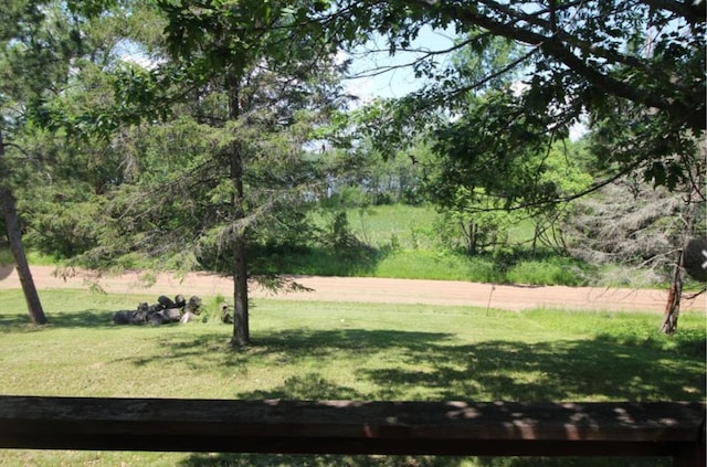 42491 432nd Ln, Aitkin, MN 56431 - view of yard