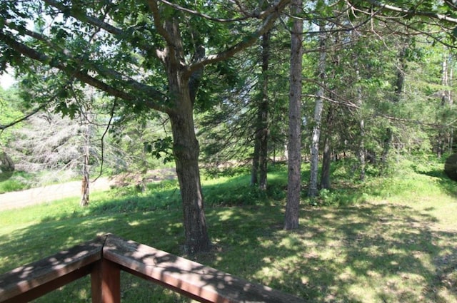 42491 432nd Ln, Aitkin, MN 56431 - view of yard with a wooded view