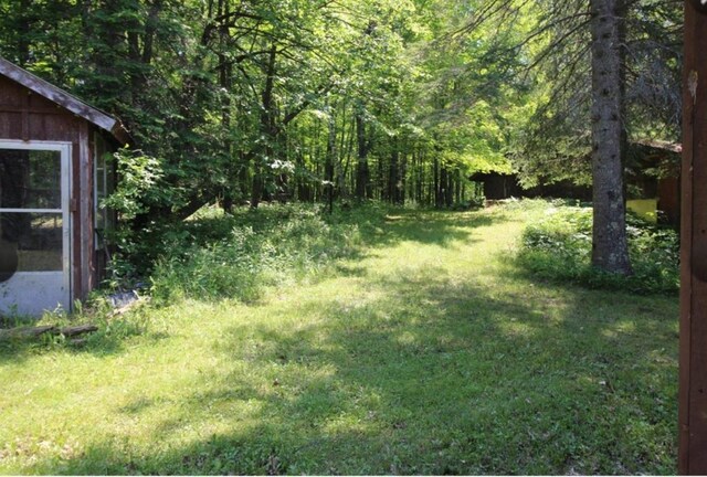 42491 432nd Ln, Aitkin, MN 56431 - view of yard