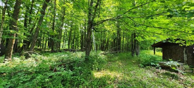 42491 432nd Ln, Aitkin, MN 56431 - view of nature with a wooded view