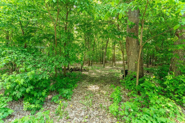 45715 Chippewa Trl, Vining, MN 56588 - photo 106