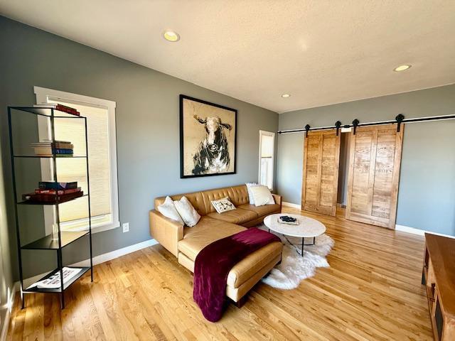 817 2nd St N, Brownsville, MN 55919 - living area featuring baseboards, light wood-type flooring, a barn door, and a wealth of natural light