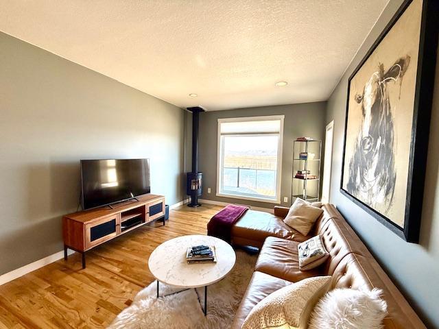 817 2nd St N, Brownsville, MN 55919 - living area featuring a textured ceiling, baseboards, a wood stove, and wood finished floors