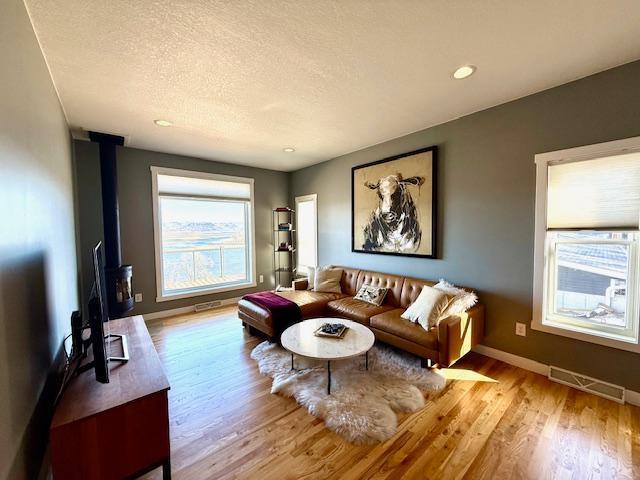 817 2nd St N, Brownsville, MN 55919 - living area with visible vents, a wood stove, wood finished floors, baseboards, and a textured ceiling