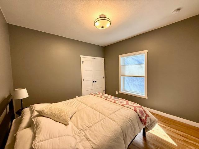 817 2nd St N, Brownsville, MN 55919 - bedroom with baseboards, a closet, and wood finished floors