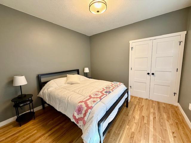 817 2nd St N, Brownsville, MN 55919 - bedroom featuring light wood-style floors, baseboards, and a closet