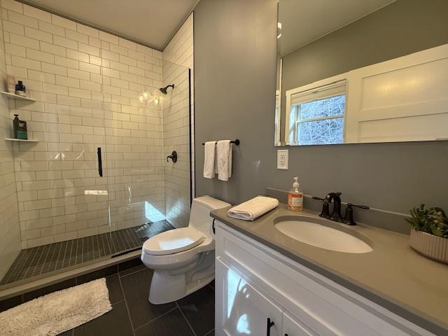 817 2nd St N, Brownsville, MN 55919 - bathroom with vanity, toilet, tile patterned flooring, and a stall shower