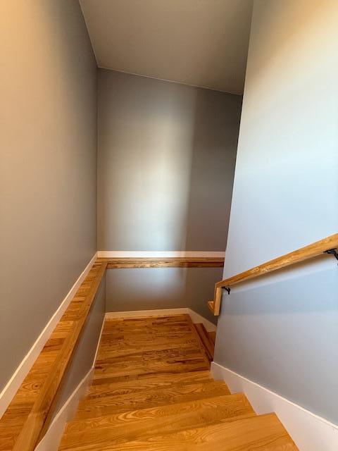817 2nd St N, Brownsville, MN 55919 - stairs with wood finished floors