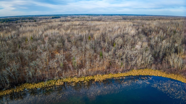 A Puposky Rd NW, Bemidji, MN 56601