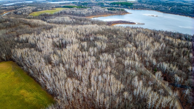 A Puposky Rd NW, Bemidji, MN 56601