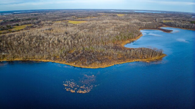 A Puposky Rd NW, Bemidji, MN 56601