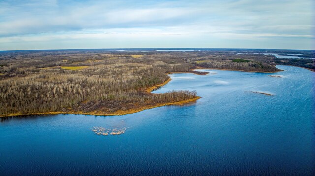A Puposky Rd NW, Bemidji, MN 56601