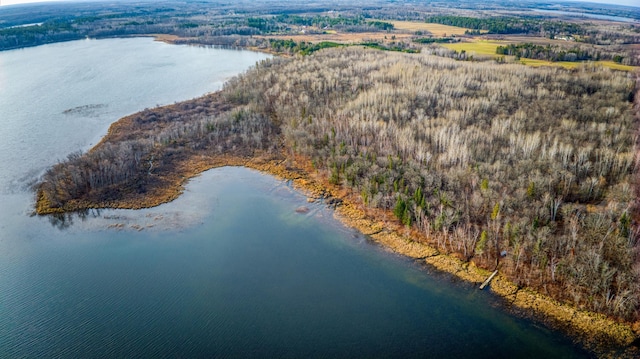 A Puposky Rd NW, Bemidji, MN 56601