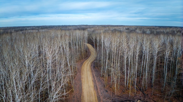 A Puposky Rd NW, Bemidji, MN 56601