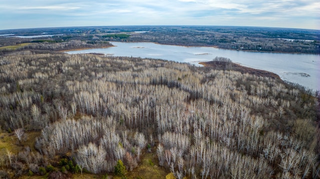 C Puposky Rd NW, Bemidji, MN 56601