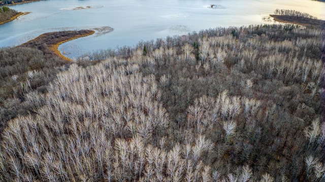 C Puposky Rd NW, Bemidji, MN 56601