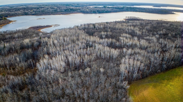 C Puposky Rd NW, Bemidji, MN 56601