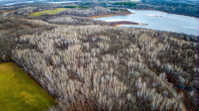 C Puposky Rd NW, Bemidji, MN 56601