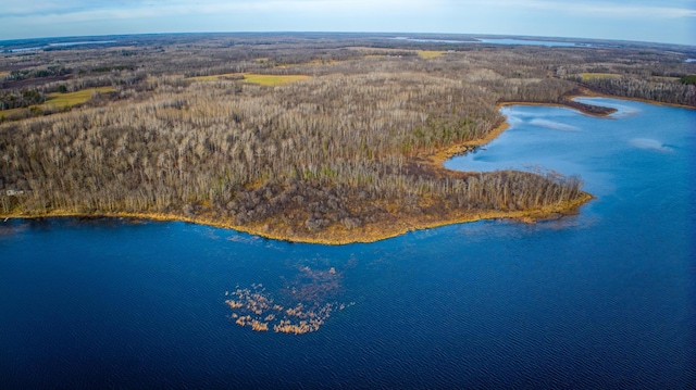 C Puposky Rd NW, Bemidji, MN 56601