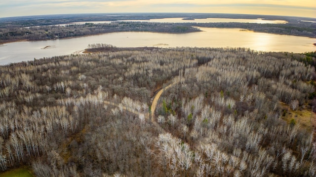 C Puposky Rd NW, Bemidji, MN 56601