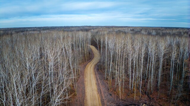 C Puposky Rd NW, Bemidji, MN 56601