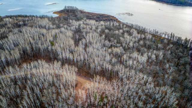 C Puposky Rd NW, Bemidji, MN 56601