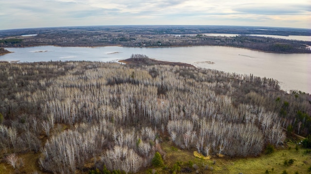 C Puposky Rd NW, Bemidji, MN 56601
