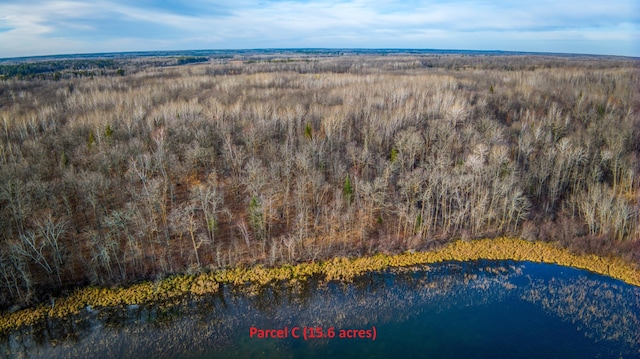 C Puposky Rd NW, Bemidji, MN 56601