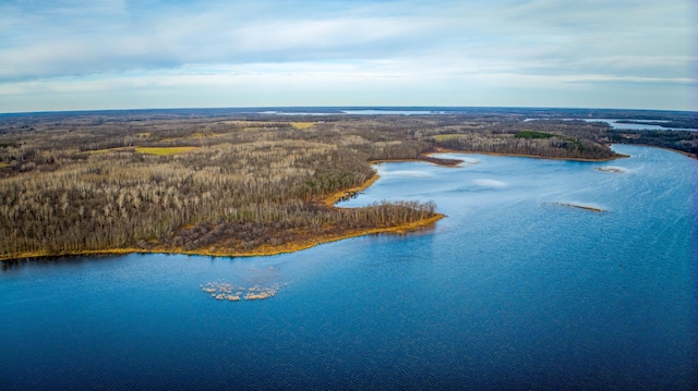 D Puposky Rd NW, Bemidji, MN 56601