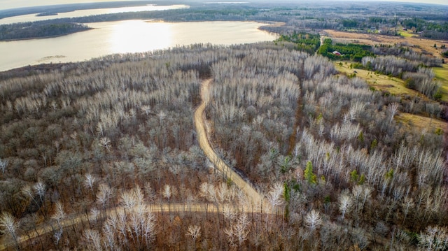 D Puposky Rd NW, Bemidji, MN 56601