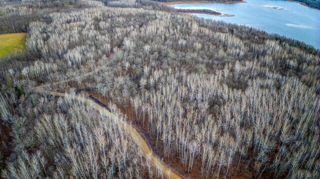 D Puposky Rd NW, Bemidji, MN 56601