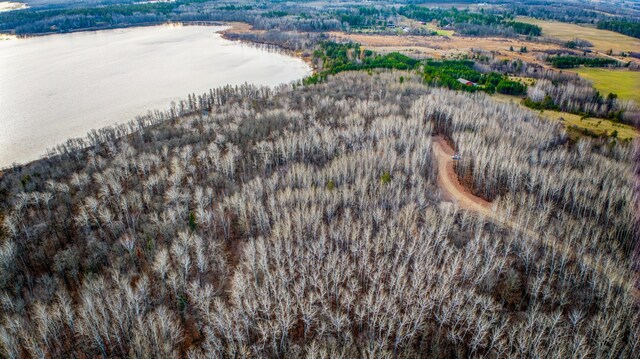 D Puposky Rd NW, Bemidji, MN 56601