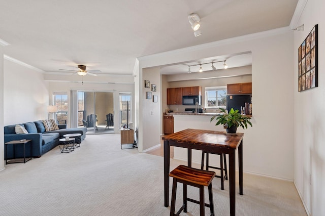 13560 Technology Dr Unit 1210, Eden Prairie, MN 55344 - living area with light colored carpet, a ceiling fan, and crown molding