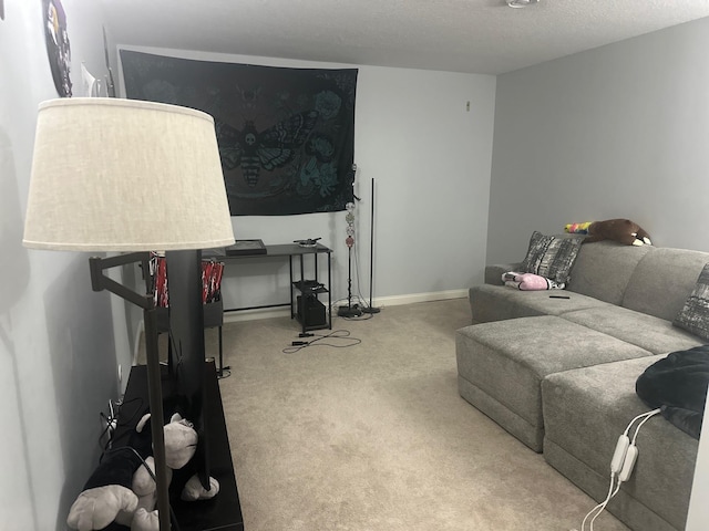 7048 Park Dr, Savage, MN 55378 - carpeted living room with baseboards and a textured ceiling