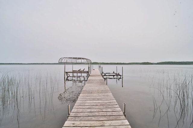 27672 Little Whitefish Rd, Garrison, MN 56450 - dock area with a water view and boat lift
