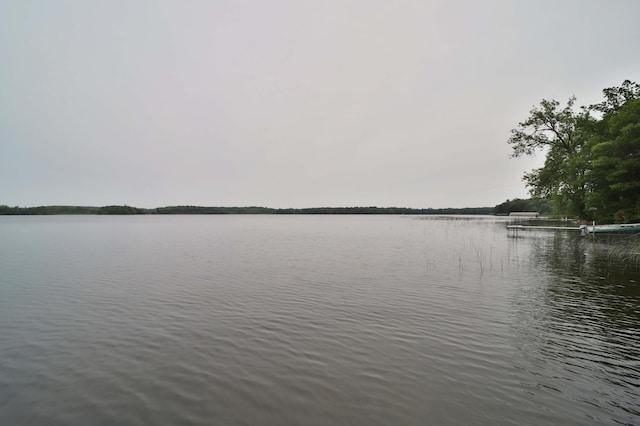 27672 Little Whitefish Rd, Garrison, MN 56450 - water view
