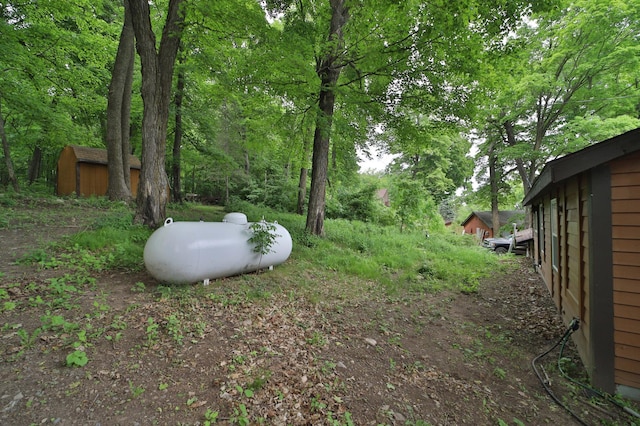 27672 Little Whitefish Rd, Garrison, MN 56450 - view of yard