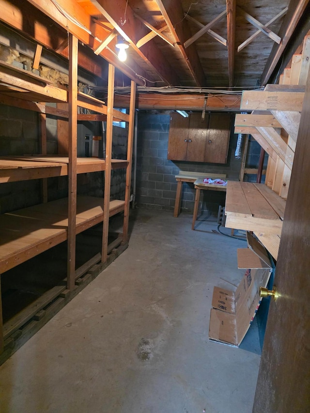 unfinished below grade area with concrete block wall